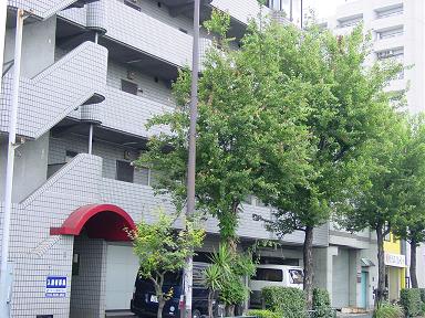 賃貸 不動産 中野区 練馬区 野方 マンション